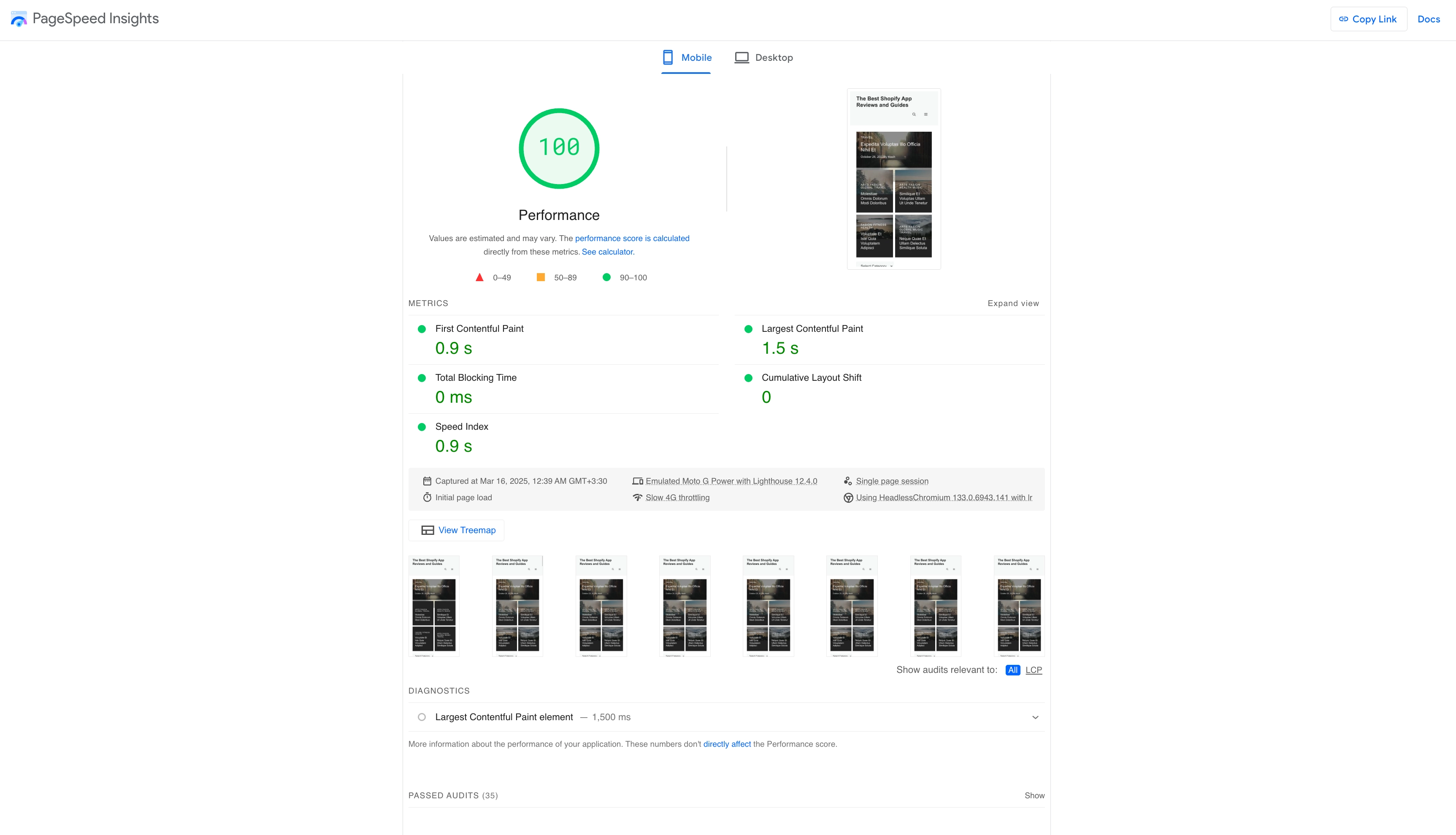 PageSpeed Insights Perfect Score